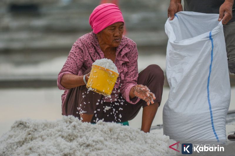 Pemerintah sediakan Rp10 triliun untuk KUR berbasis kekayaan intelektual