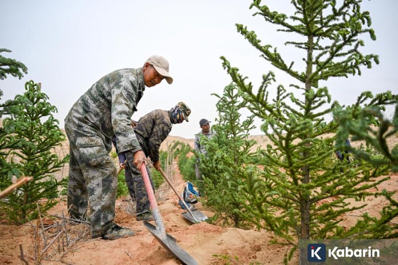 16 pemain asing telah terdaftar untuk IBL 2026