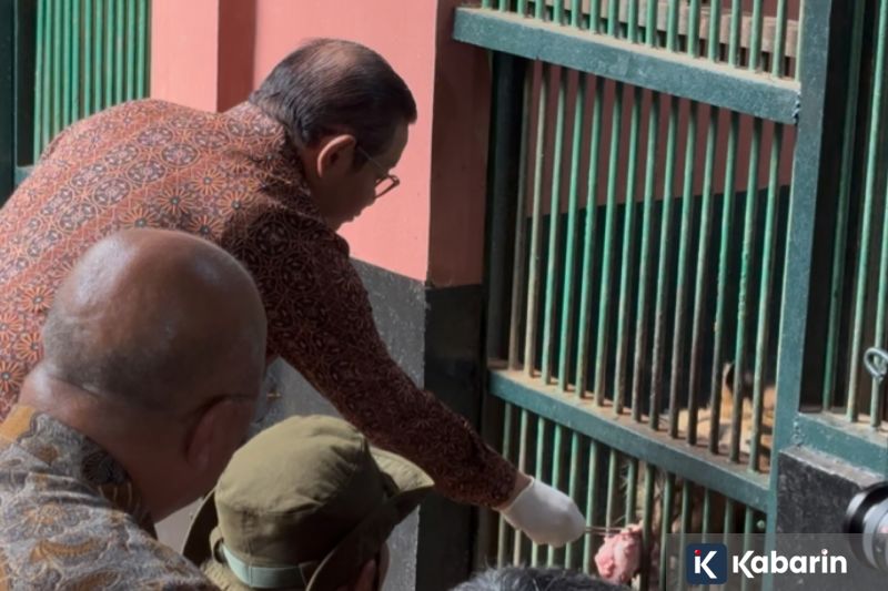 Ekstra bawang putih ternyata bisa jadi obat kumur alami anti kuman