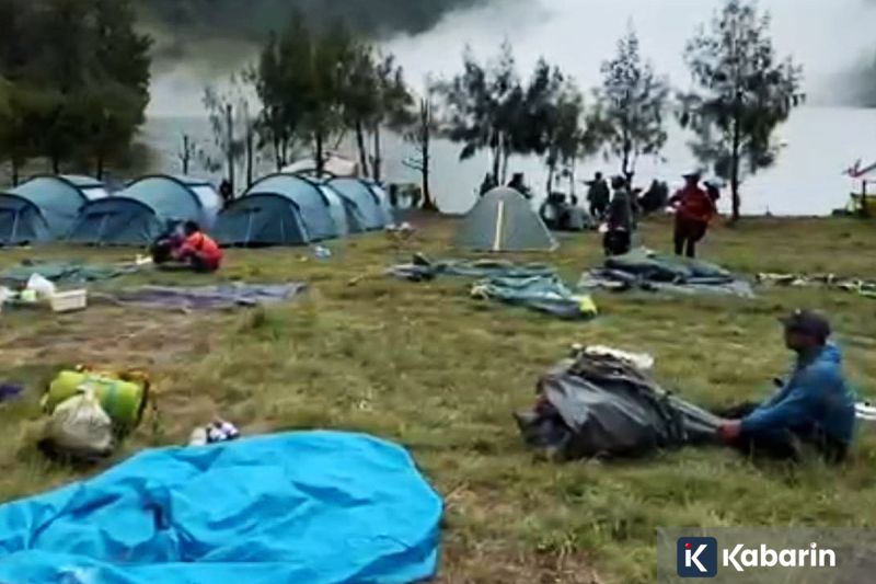 Peneliti ciptakan pembuluh darah 3D untuk ungkap rahasia stroke