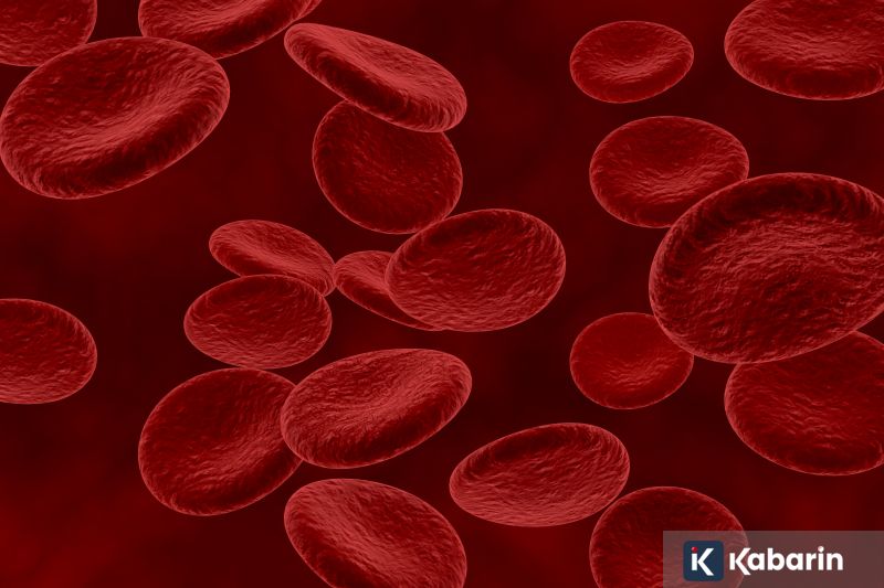 Peneliti ciptakan pembuluh darah 3D untuk ungkap rahasia stroke