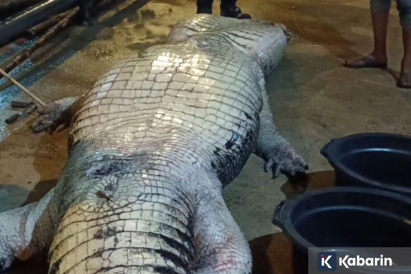 Polisi perketat penindakan kasus pakaian bekas impor untuk lindungi UMKM lokal