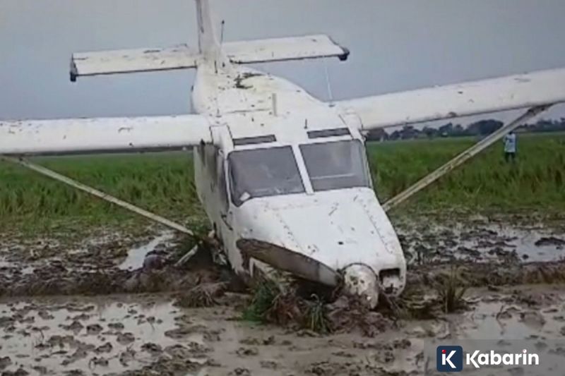 Themilo resmi rilis "The Lights", sebagai penghargaan untuk para pendengarnya