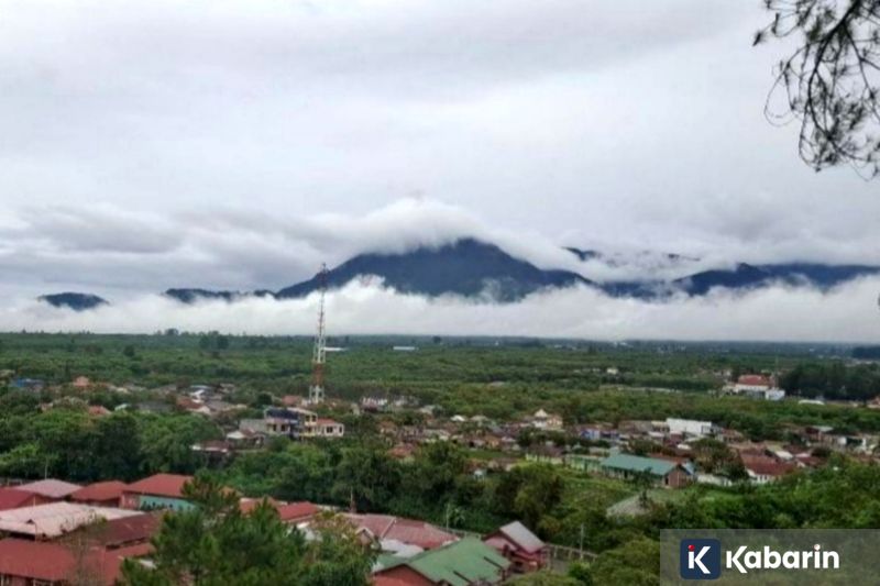 DKI Jakarta resmi terapkan aturan pelarangan jual daging anjing dan kucing