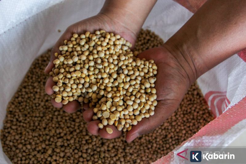 Kemkomdigi Beberkan Strategi Pertumbuhan Infrastruktur Digital hingga 2029