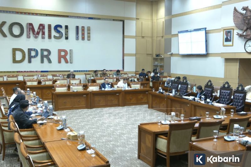 Empat Sabuk Juara Dipertaruhkan dalam Duel Ulang Shields Kontra Crews-Dezurn