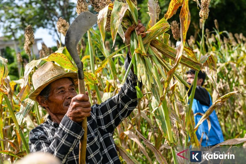 Modifikasi Cuaca Jadi Langkah Pengendalian Risiko Banjir di Jakarta