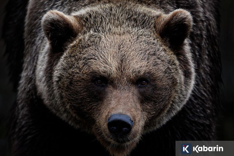 Stop salahkan hujan atas bencana yang terjadi!