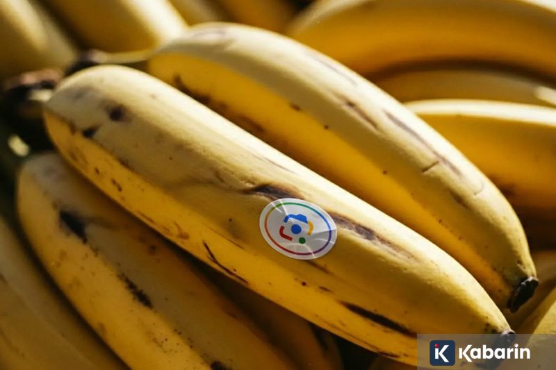 Google Perkenalkan Nano Banana 2, AI Pembuat Gambar yang Lebih Ngebut