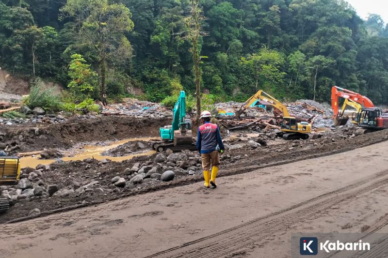 Minuman hangat bervitamin C bisa hilangin flu lebih cepat