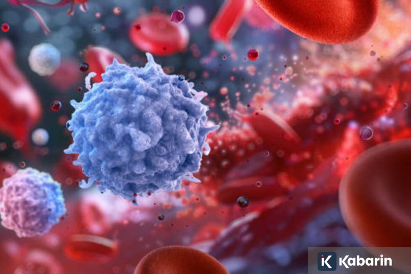 Nepal siapkan batasan jumlah pendaki untuk atasi masalah sampah di pegunungan