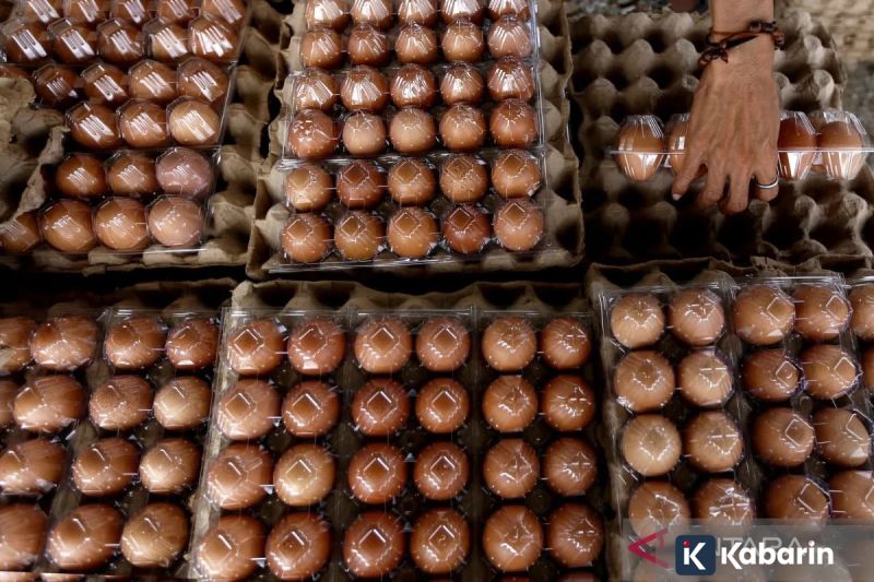 Ancol targetkan 120 ribu pengunjung saat malam tahun baru