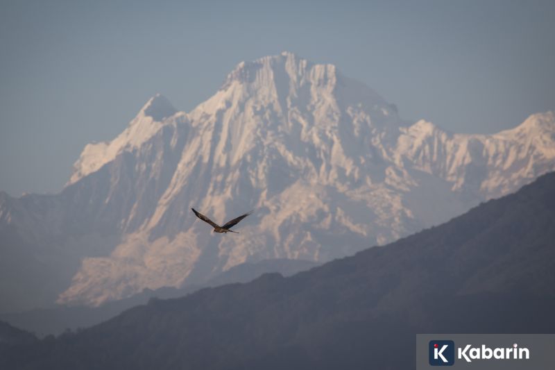 Choirunisa berhasil raih dua emas SEA Games saat hamil anak kedua