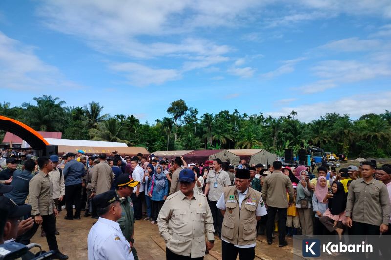 Bantuan dari diaspora untuk bencana bisa bebas bea masuk, tapi ada syaratnya