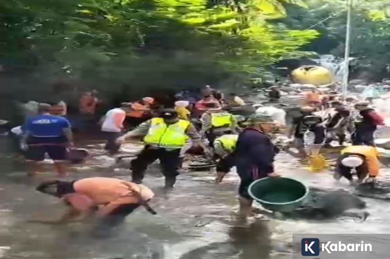 Kemenhut: Kayu hanyut banjir bisa dimanfaatkan untuk bangun kembali masyarakat terdampak