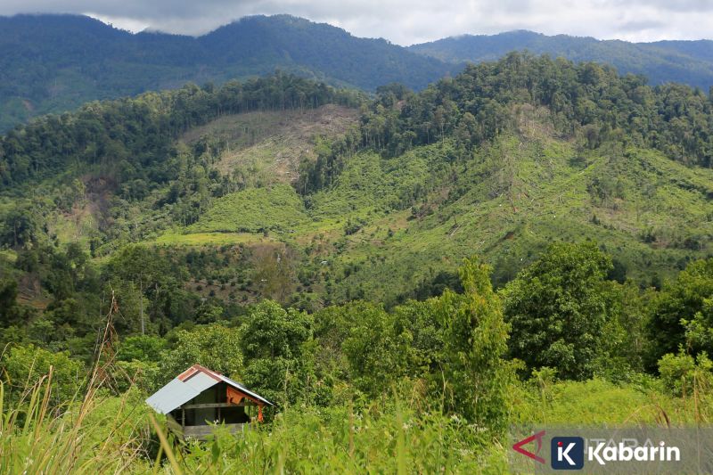 Rupiah Berpotensi Naik Seiring Penyelidikan Powell di AS