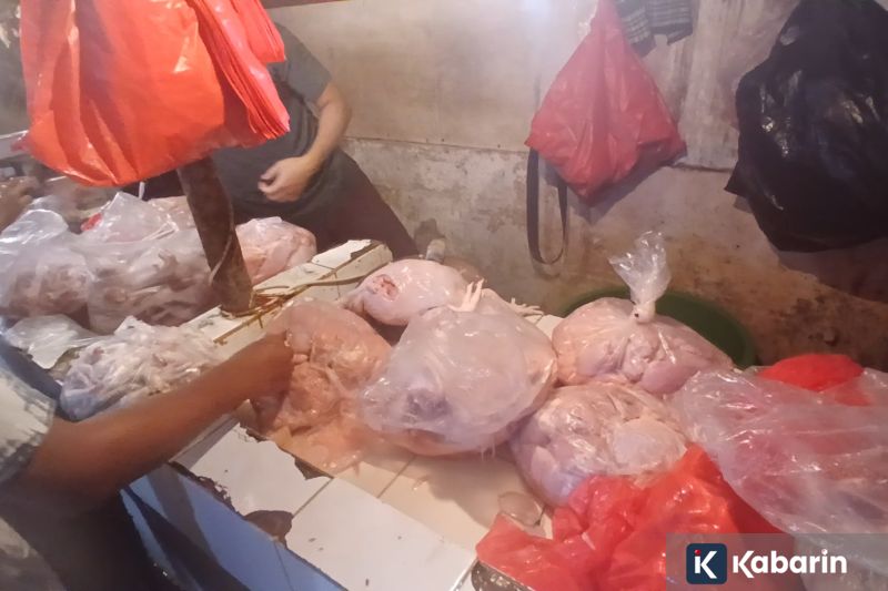 Kemenhut: Kayu hanyut banjir bisa dimanfaatkan untuk bangun kembali masyarakat terdampak