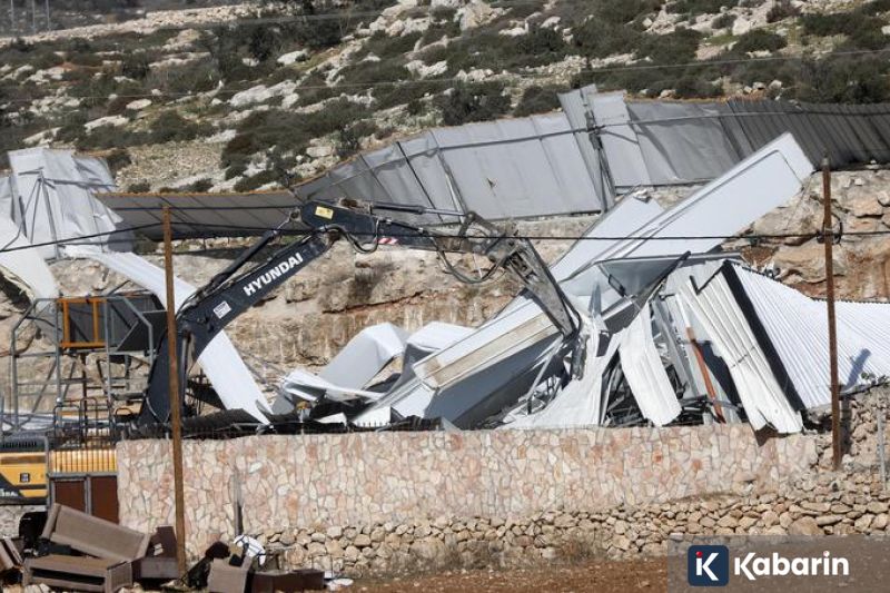 42 kilogram daging anjing tanpa dokumen dimusnahkan di Maluku