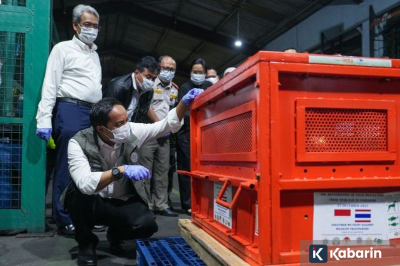 Glamor dan Sejarah: Mariah Carey Nyanyi Lagu Italia di Pembukaan Olimpiade 2026