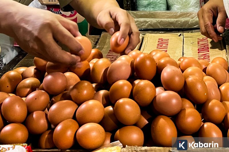 Napoli Gagal Rebut Puncak Usai Imbang 2-2 Lawan Verona