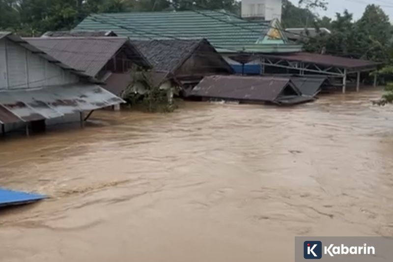 Insiden Kapal Wisata di Labuan Bajo, Tujuh Selamat Empat Warga Spanyol Hilang