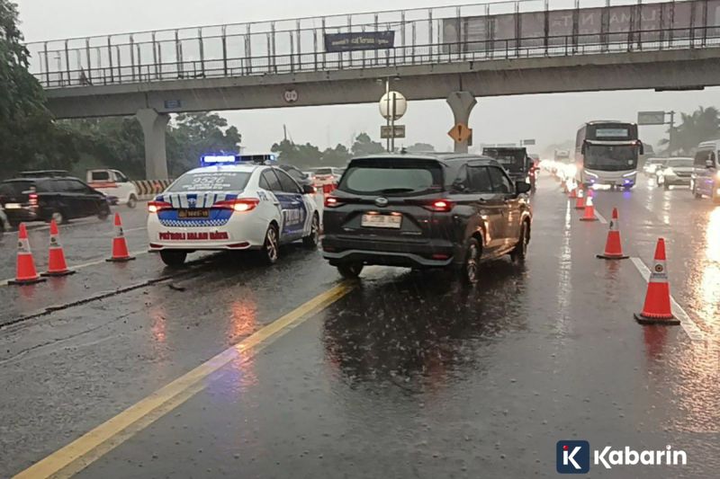 Banteng Watusi Jadi Kado Tahun Baru 2026 bagi Pengunjung Ragunan