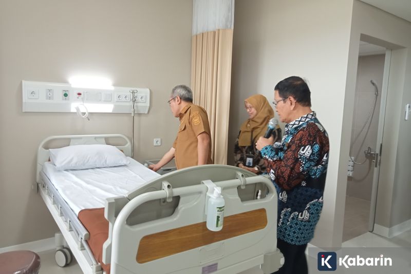 Resep dan Cara Buat Asinan Salak untuk Camilan Segar di Rumah