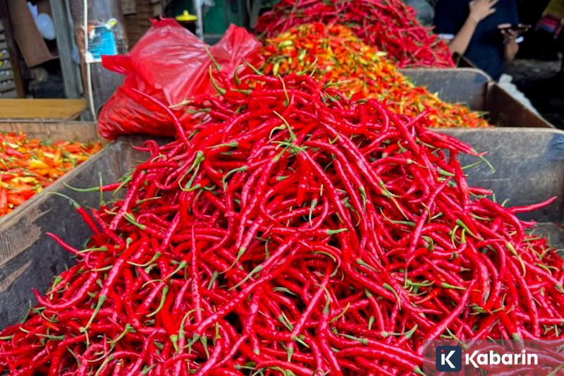 Senator AS Sebut Trump Ancam "Bunuh" Pemimpin Tertinggi Iran