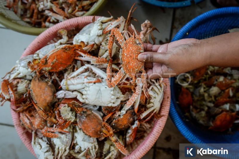 AS dan Inggris Sepakat Perkuat Langkah Cegah Pengaruh Rusia di Arktik