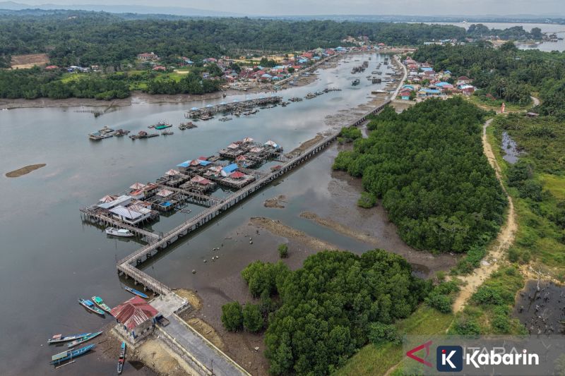KLH Tetapkan Peta Mangrove Nasional 2025 Seluas 3,45 Juta Hektare
