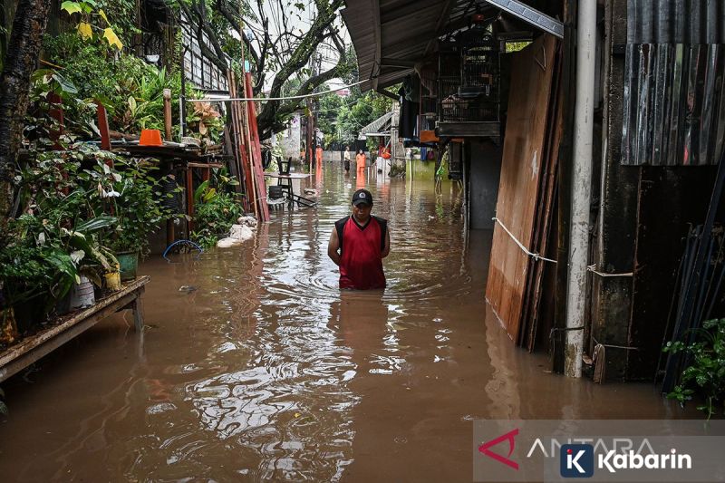 KLH Tetapkan Peta Mangrove Nasional 2025 Seluas 3,45 Juta Hektare