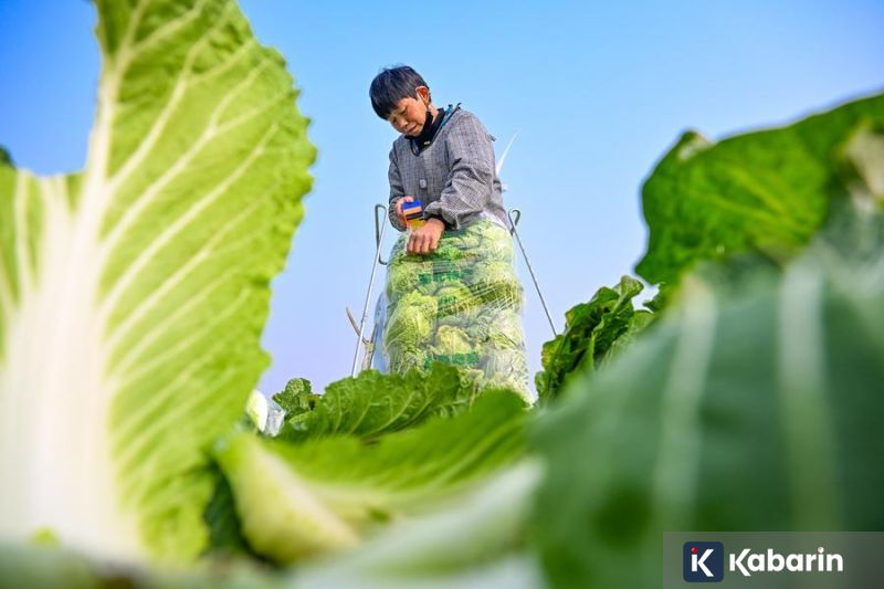 Sentimen Mayoritas Netizen Netral usai John Herdman Jadi Pelatih Baru Timnas