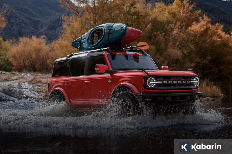 Thorslund Tantang Furtado Demi Sabuk Interim WBC Putri