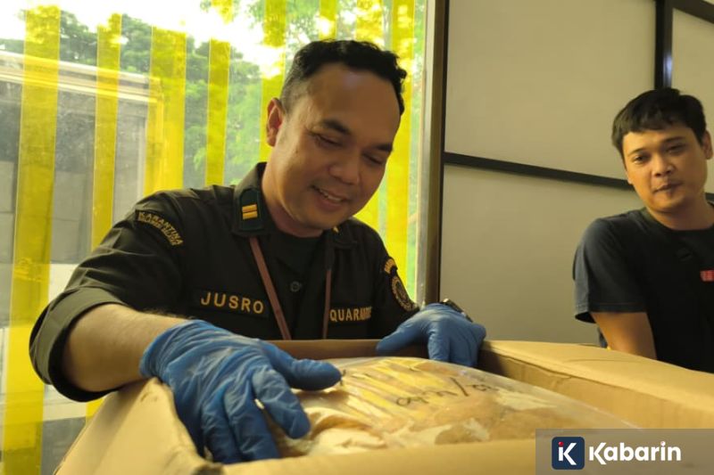 Semen Padang FC Resmi Datangkan Eks Athletic Bilbao untuk Putaran Kedua