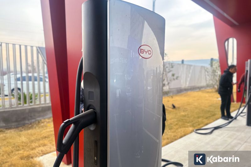 Panda Kembar di Jepang akan Pulang ke China pada Akhir Januari 2026