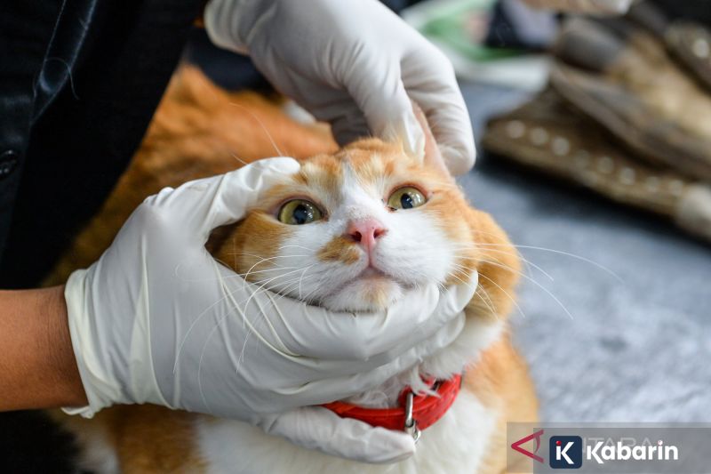 FIBA Umumkan Jadwal Tim Elite 3x3 untuk World Tour 2026