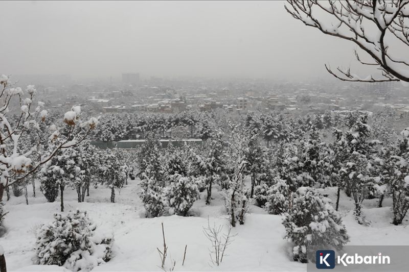 Cuaca Ekstrem Afghanistan: Hujan dan Salju Lebat Tewaskan 61 Orang