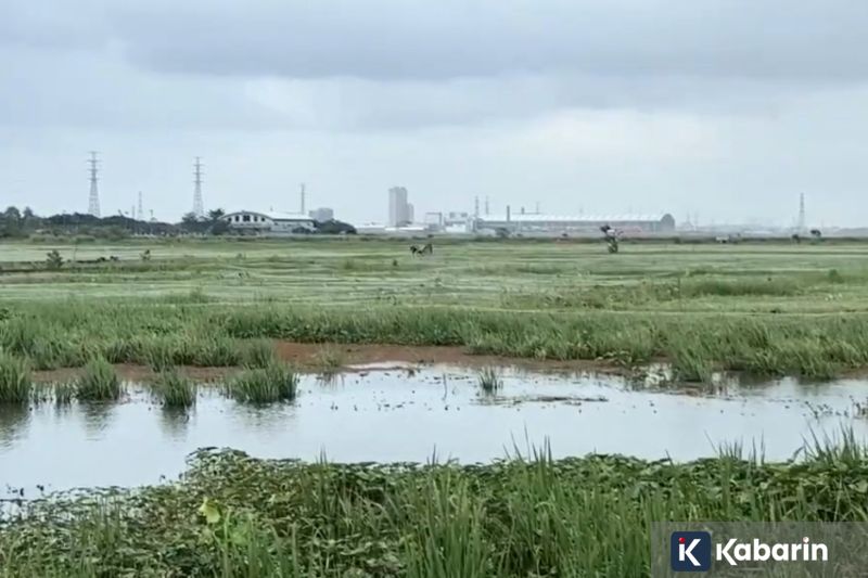 Kemenag Ajukan Tambahan Rp702 M untuk Perbaikan Fasilitas Keagamaan Pascabencana