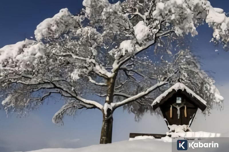 Chery J6T Dibekali Kabin dan Bagasi Luas untuk Bersaing di Segmen SUV Boxy