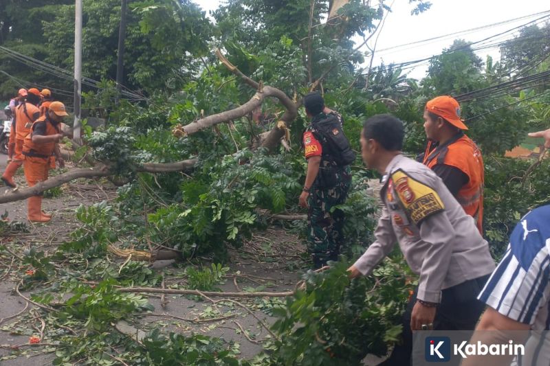 Cara-cara dalam Menghadapi Anak yang Sedang FOMO