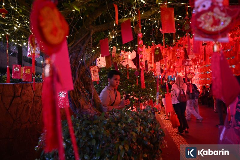 Akhirnya Juara! De Minaur Taklukkan Auger-Aliassime di Rotterdam