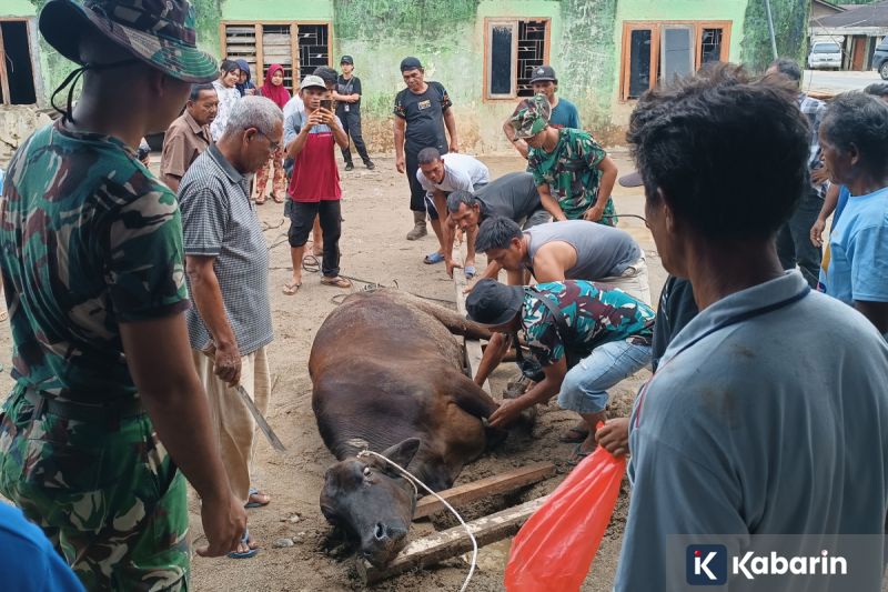 Pemerintah Tetapkan Awal Ramadhan 2026 Jatuh pada Kamis 19 Februari