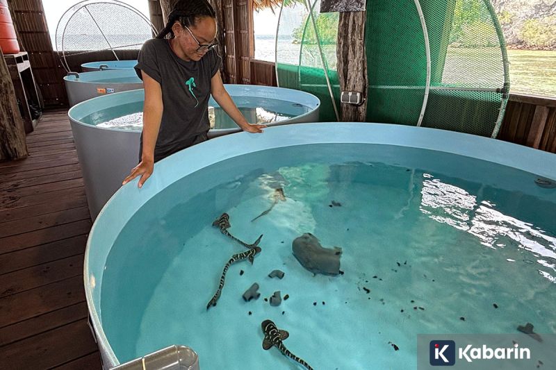 Harga Pangan Hari Ini: Cabe Rawit Rp82.950/Kg, Telur Ayam Rp32.300/Kg