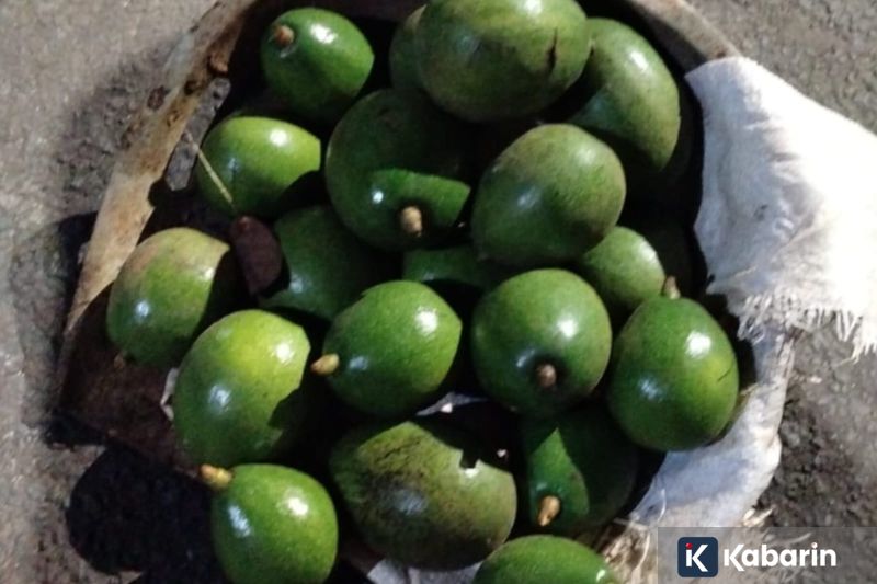 Jadwal Timnas Indonesia di FIFA Series 2026 Bulan Depan