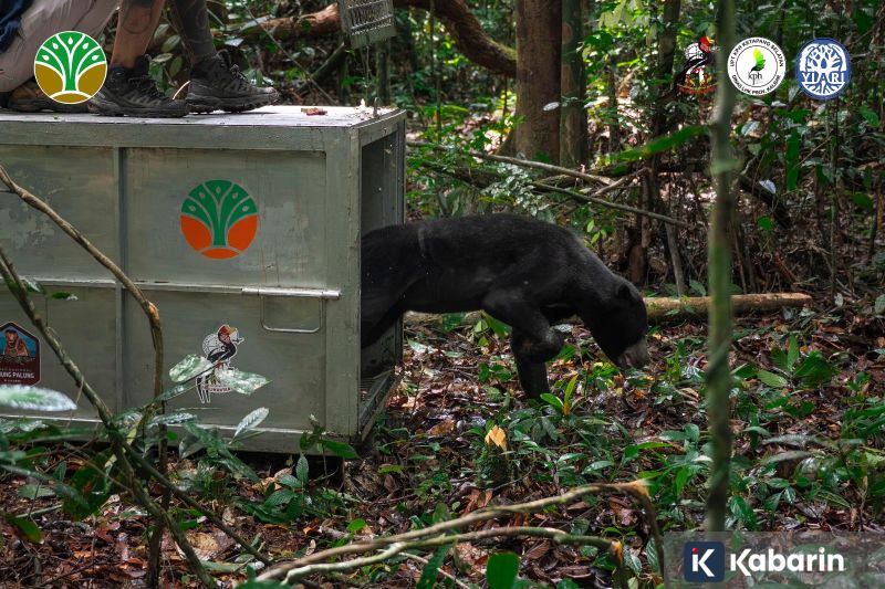 Denmark Imbau Warganya untuk Mengurangi Berkendara di Tengah Krisis Minyak