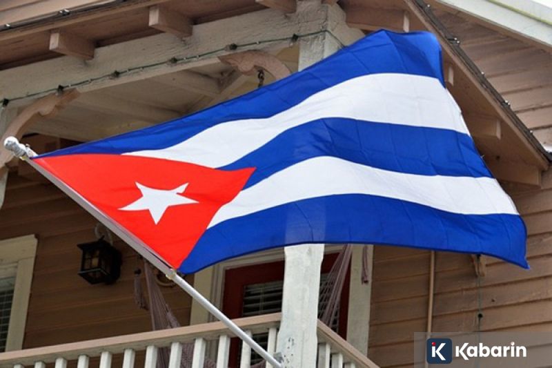 Diaspora RI di Jepang Bawa Buku "Paradoks Indonesia" Saat Bertemu Presiden