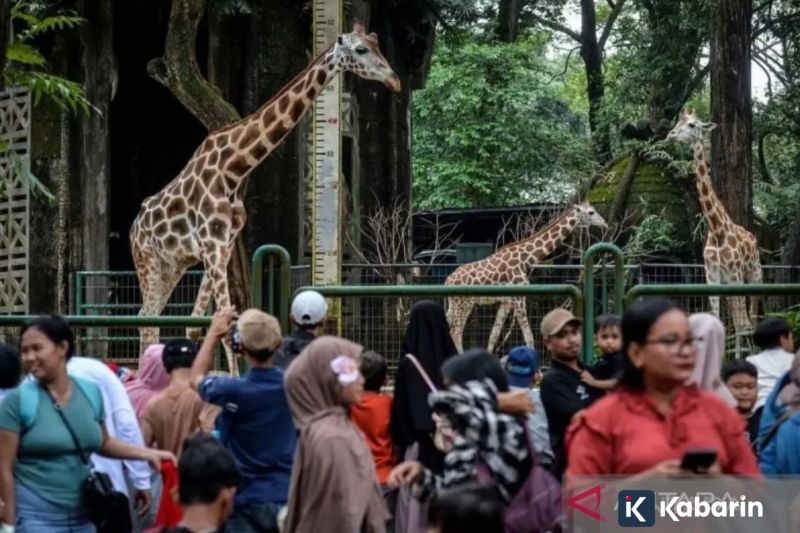 Infeksi Jantung pada Anak Bisa Berisiko Picu Komplikasi Serius