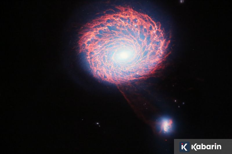 Sering Cedera Saat Lari? Bisa Jadi Sepatu dan Bentuk Kaki Penyebabnya