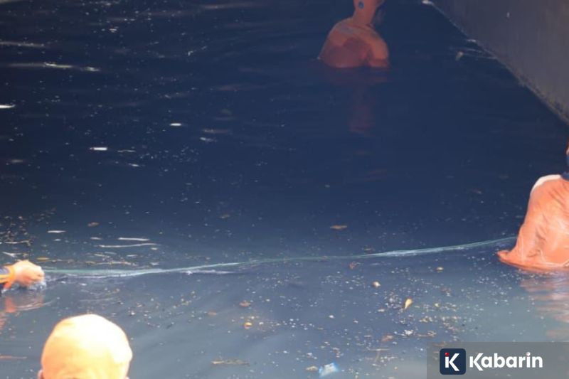 Seskab Teddy Ungkap Rutinitas Renang Presiden Prabowo Tiap Jam 5 Pagi