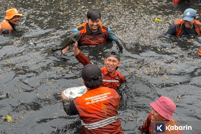 DKI Catat 6,98 Ton Ikan Sapu-Sapu Ditangkap dari Operasi di Lima Wilayah